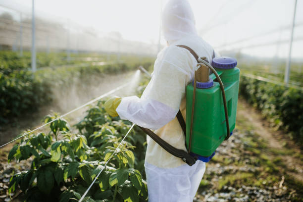 Best Mosquito Control Services  in Kingsley, IA